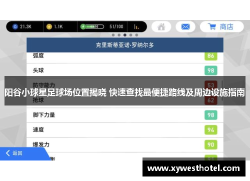 阳谷小球星足球场位置揭晓 快速查找最便捷路线及周边设施指南